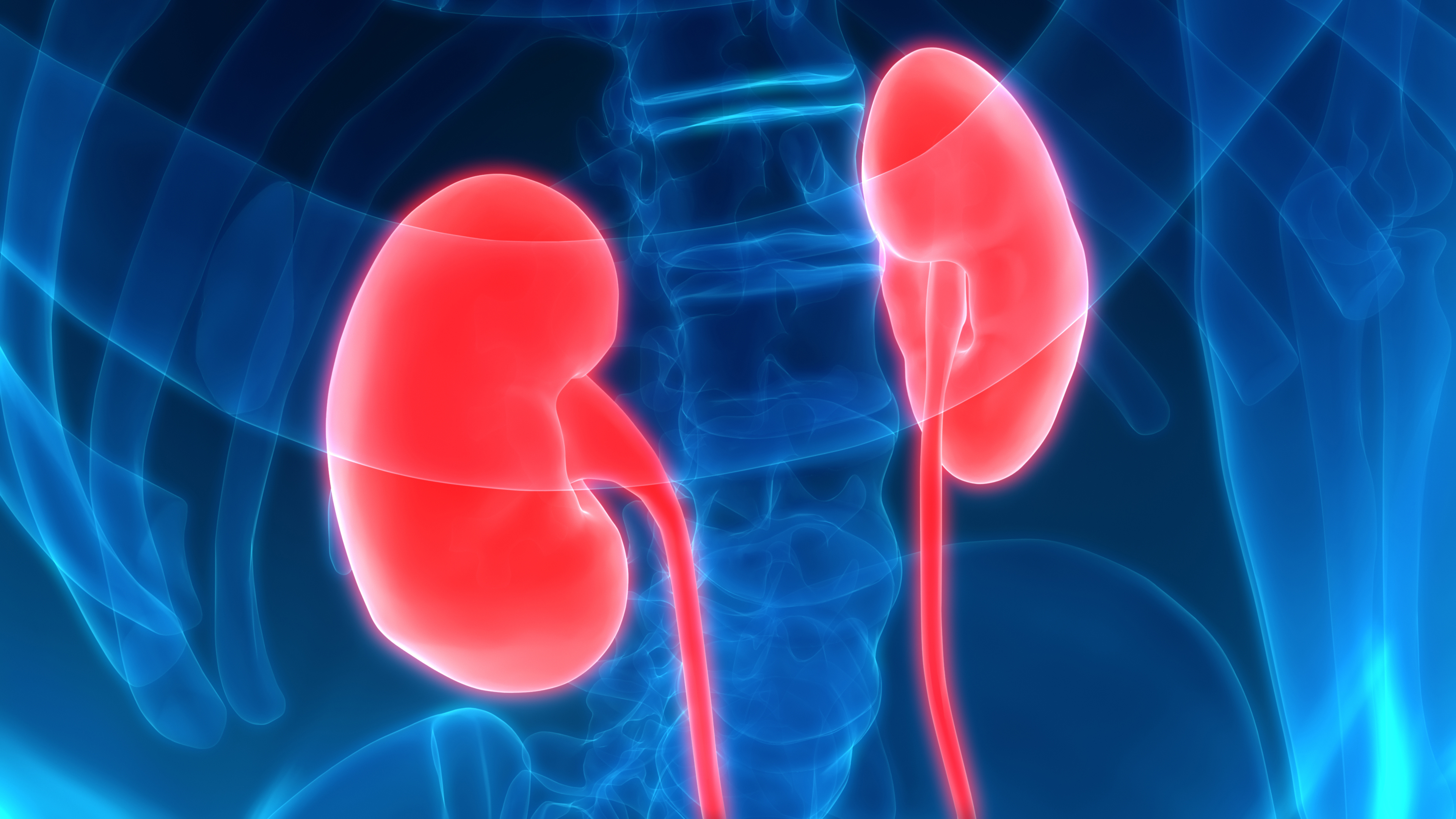 Renal Impairment Humanitas