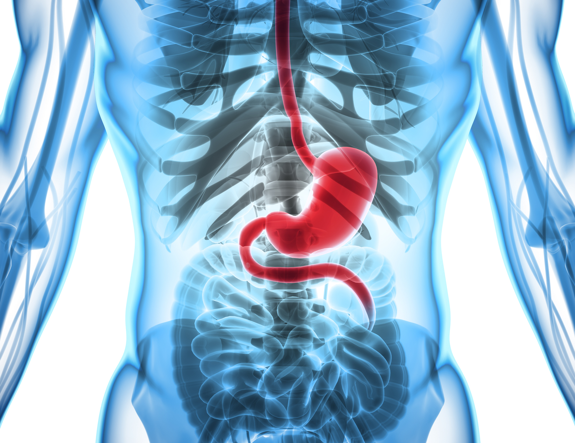 Esophagus New Therapies For Cancer And Other Diseases They Double